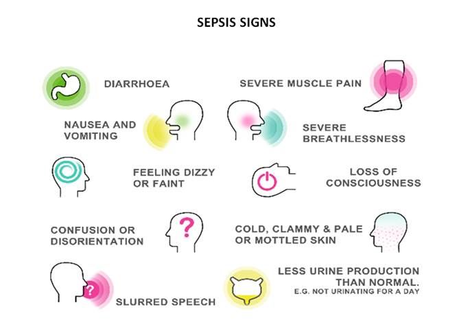 sepsis 1